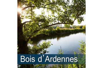 Le Bois d'Ardennes ©Alexandre Lamoureux